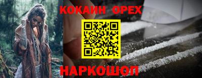 МДПВ Гусев