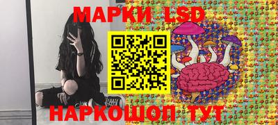 МДПВ Гусев