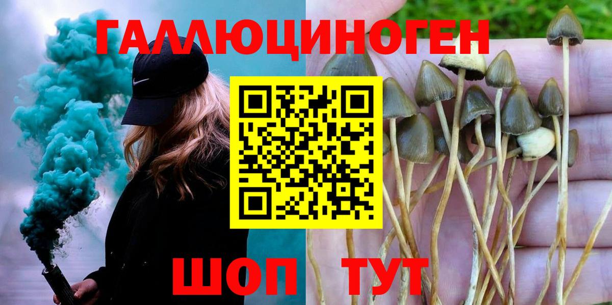 Псилоцибиновые грибы мухоморы Москва